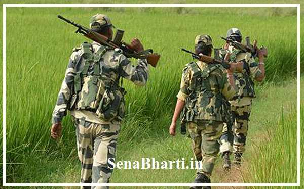Border Security Force Bharti BSF Recruitment बीएसएफ भर्ती