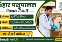 Bihar Pashupalan Vibhag Vacancy 2026: बिहार पंचायत पशु सहायक के 8,053 पदों पर बम्पर भर्ती Bihar Pashupalan Vibhag Vacancy