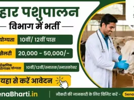 Bihar Pashupalan Vibhag Vacancy