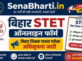 Bihar STET Online Form