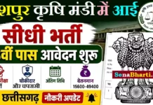 CG Jashpur Krishi Mandi Bharti 2026: 8वीं पास भृत्य और चौकीदार सीधी भर्ती, ऐसे करें ऑफलाइन आवेदन CG Jashpur Krishi Mandi Bharti
