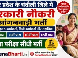 Chandauli Anganwadi Bharti