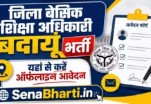 DBEO Badaun Bharti 2026: एकेडमिक रिसोर्स पर्सन पदों पर भर्ती, यहाँ से करें ऑफलाइन आवेदन DBEO Badaun Bharti