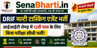 DRIF Multi Tasking Agent Bharti