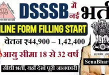 DSSSB Bharti 2026: दिल्ली सरकार में JE, ASO और AE के 911 पदों पर सीधी भर्ती DSSSB Bharti