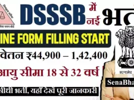 DSSSB Bharti