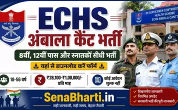 ECHS Ambala Cantt Bharti 2026: 8वीं, 12वीं पास और स्नातकों के लिए 87 पदों पर सीधी भर्ती, यहाँ से डाउनलोड करें फॉर्म ECHS Ambala Cantt Bharti