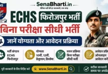 ECHS Ferozepur Bharti 2026: बिना परीक्षा सीधी भर्ती, जानें योग्यता और आवेदन प्रक्रिया ECHS Ferozepur Bharti