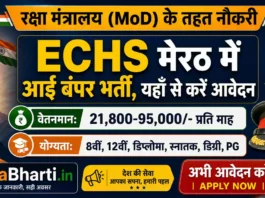 ECHS Meerut Vacancy Apply Form
