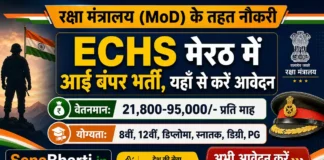 ECHS Meerut Vacancy Apply Form