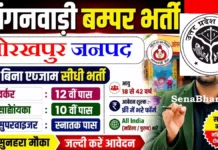 Gorakhpur Anganwadi Vacancy 2026: 1456 पदों पर सीधी भर्ती, यहाँ देखें मेरिट लिस्ट अपडेट Gorakhpur Anganwadi Vacancy