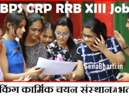 IBPS CRP RRB XIII Recruitment IBPS RRB CRP XIII Notification