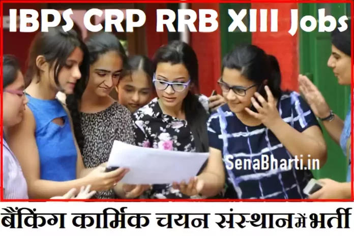 IBPS CRP RRB XIII Recruitment IBPS RRB CRP XIII Notification