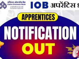 IOB Apprentice Bharti