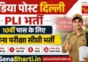 India Post Delhi PLI Bharti 2026: 10वीं पास के लिए बिना परीक्षा सीधी भर्ती, 200+ पदों पर अवसर India Post Delhi PLI Bharti