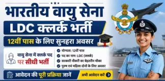 Indian Air Force LDC Clerk Bharti