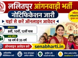 Lalitpur Anganwadi Bharti