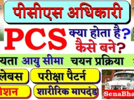 PCS Officer Kaise Bane PCS Kya hota hai How to become PCS Officer