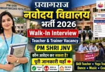 PM Shri School JNV Prayagraj Bharti 2026: नवोदय विद्यालय प्रयागराज में विभिन्न पदों पर सीधी भर्ती, यहाँ देखें पूरी जानकारी PM Shri School JNV Prayagraj Bharti