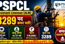 PSPCL ALM Recruitment 2026: 3289 असिस्टेंट लाइनमैन भर्ती, ऐसे करें ऑनलाइन आवेदन PSPCL ALM Recruitment