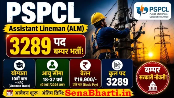PSPCL ALM Recruitment PSPCL ALM Recruitment