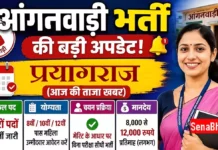 Prayagraj Anganwadi Worker Bharti 2026: प्रयागराज आंगनवाड़ी भर्ती ऑनलाइन आवेदन शुरू, डायरेक्ट लिंक Prayagraj Anganwadi Worker Bharti
