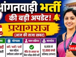Prayagraj Anganwadi Worker Bharti