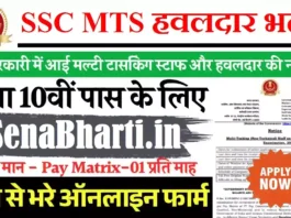 SSC Havaldar Recruitment SSC Havaldar Bharti SSC Havaldar Vacancy