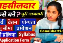 तहसीलदार कैसे बने? Tehsildar Kaise Bane? How to Become Tehsildar Tehsildar Kaise Bane How to Become Tehsildar ka kya kaam hai