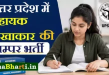 UP Assistant Accountant Vacancy 2026: यूपीएसएसएससी 1600+ नई भर्ती ऑनलाइन अप्लाई लिंक UP Assistant Accountant Vacancy
