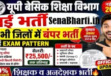 UP Basic Shiksha Vacancy 2026: 21000+ शिक्षक व अनुदेशक भर्ती UP Basic Shiksha Vacancy