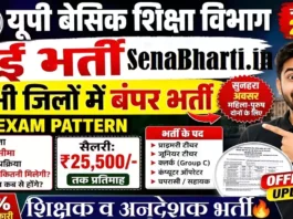 UP Basic Shiksha Vacancy