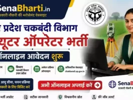 UP Chakbandi Vibhag Computer Operator Bharti