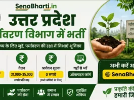 UP Environment Department Bharti