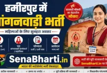 UP Hamirpur Anganwadi Bharti