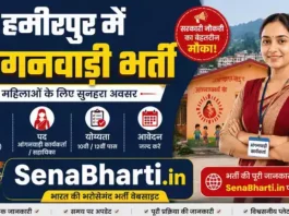 UP Hamirpur Anganwadi Bharti