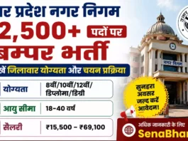 UP Nagar Nigam Bharti