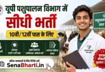 UP Pashupalan Vibhag Bharti 2026: यूपी पशुपालन विभाग 4500+ पदों पर बंपर भर्ती, सीधे इंटरव्यू से चयन! UP Pashupalan Vibhag Bharti