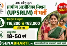 UP Sewayojan UPSRLM Bharti 2026: 3447 जिला व ब्लॉक स्तर पदों पर बम्पर भर्ती, ऐसे करें आवेदन UP Sewayojan UPSRLM Bharti