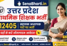 UPESSC UP Primary Teacher Bharti 2026: 12405 सहायक अध्यापक पदों पर भर्ती, यहाँ से करें ऑनलाइन आवेदन UPESSC UP Primary Teacher Bharti