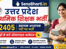 UPESSC UP Primary Teacher Bharti