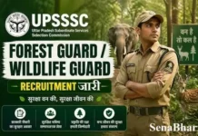 UPSSSC Forest Guard Bharti 2026: यूपी में 708 फॉरेस्ट गार्ड और वन्यजीव रक्षक भर्ती, यहाँ से करें आवेदन UPSSSC Forest Guard Bharti