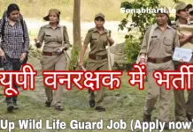 Up Wild Life Guard Vacancy 2026: 12वी पास युवाओं के लिए यूपी वनरक्षक में भर्ती तो जल्द करें आवेदन Up Wild Life Guard Vacancy