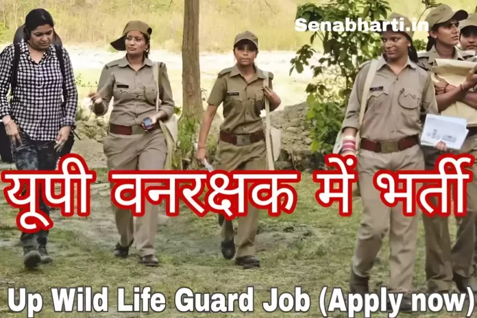 Up Wild Life Guard Vacancy
